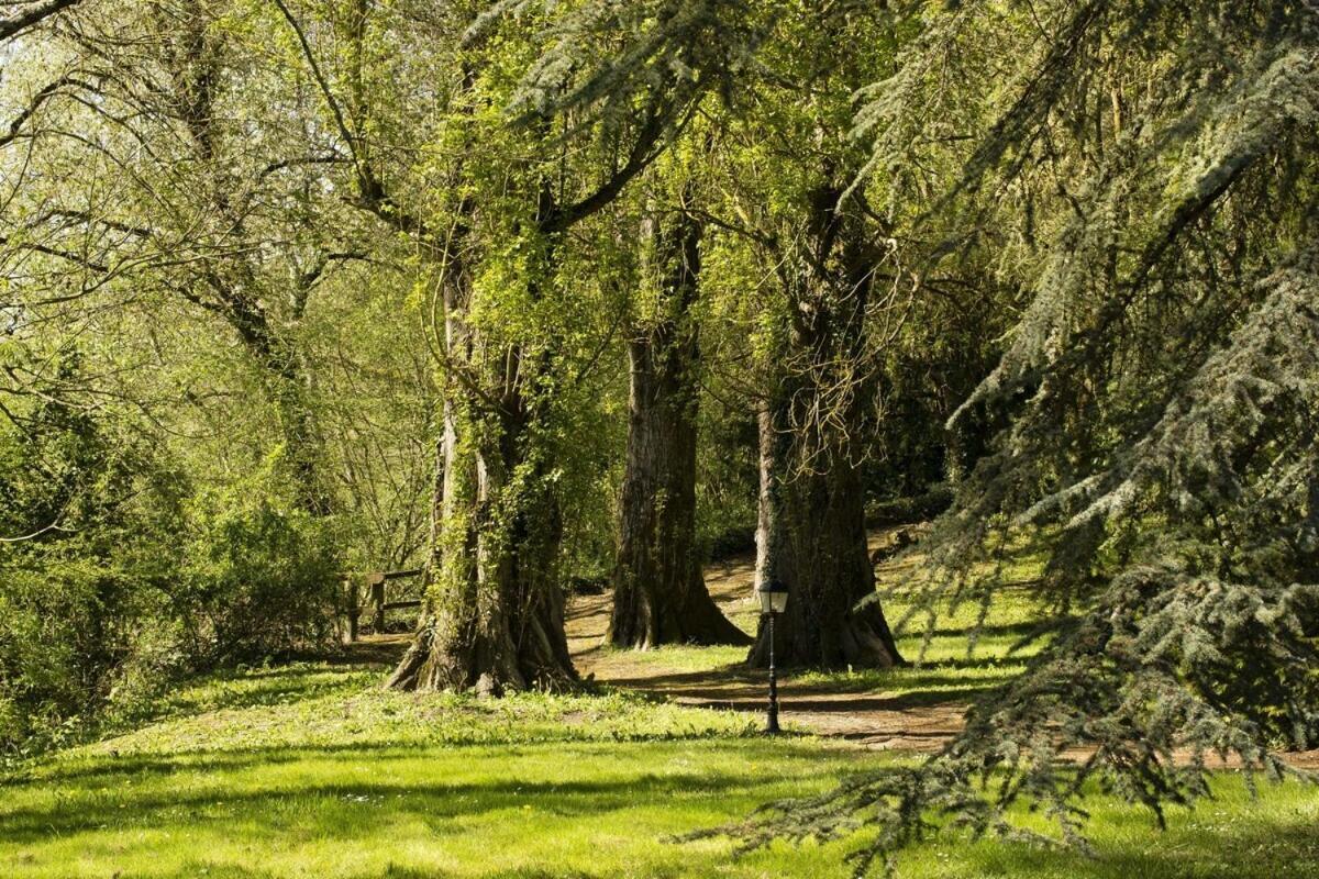 Chateau Laroche-Ploquin Sepmes Dış mekan fotoğraf